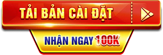 imagetaicaidat
