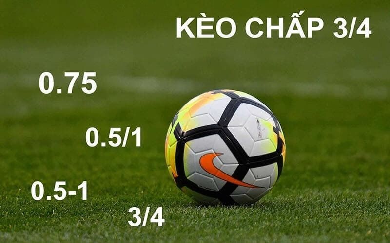 tim hieu ve keo 3 4 tai nha cai nhatvip 1 Kèo cược 3/4 tại sảnh cá cược của Nhatvip